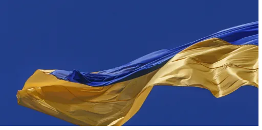 БФ "Перемога України"